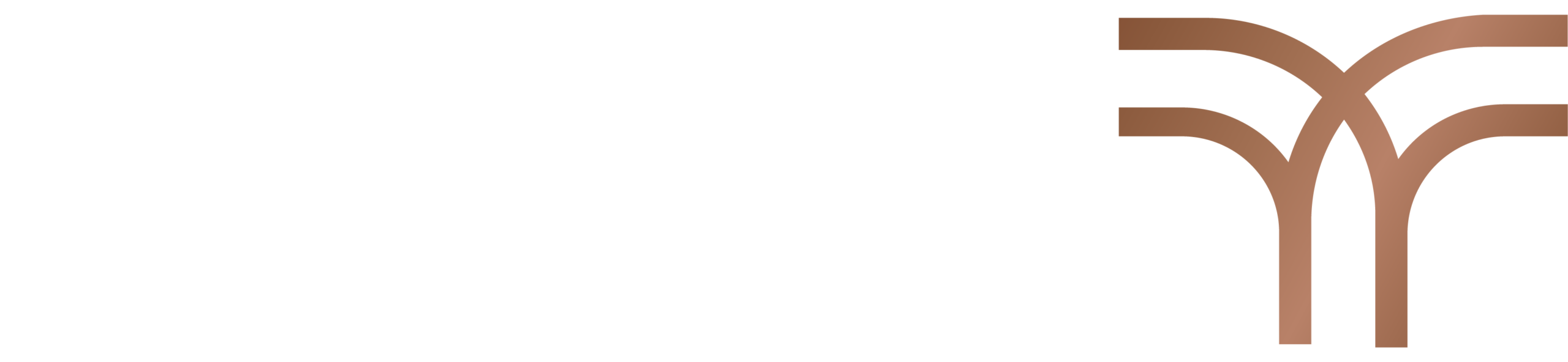 التنـ ـفيذي